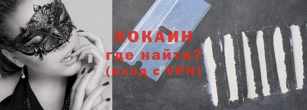 стаф Арсеньев