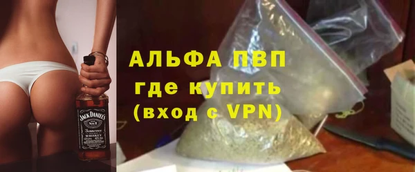стаф Арсеньев