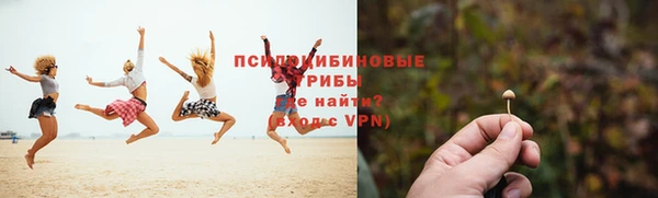 стаф Арсеньев