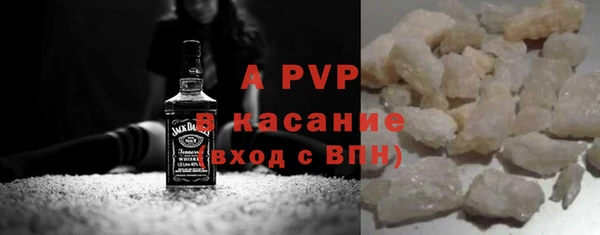 стаф Арсеньев