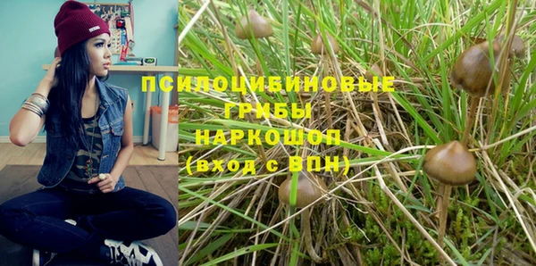 стаф Арсеньев