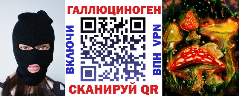 Галлюциногенные грибы Cubensis купить наркотики сайты Багратионовск