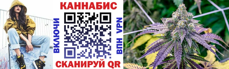 закладка  Багратионовск  МАРИХУАНА ГИДРОПОН 